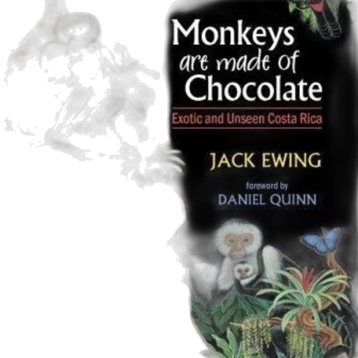 monkeys, made, chocolate, exotic transparent PNG cut-out