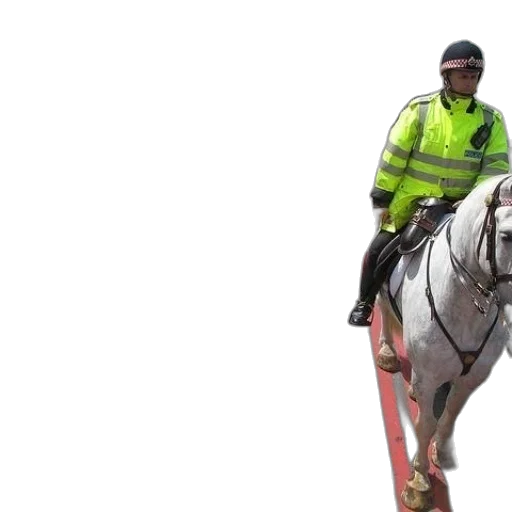 staff, animal, two, police transparent PNG cut-out