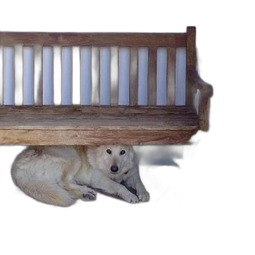furniture, animal, creature, photorealistic transparent PNG cut-out