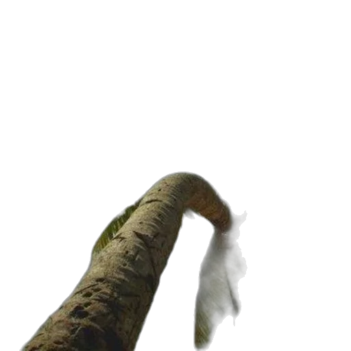 weapon, staff, tree, sword transparent PNG cut-out