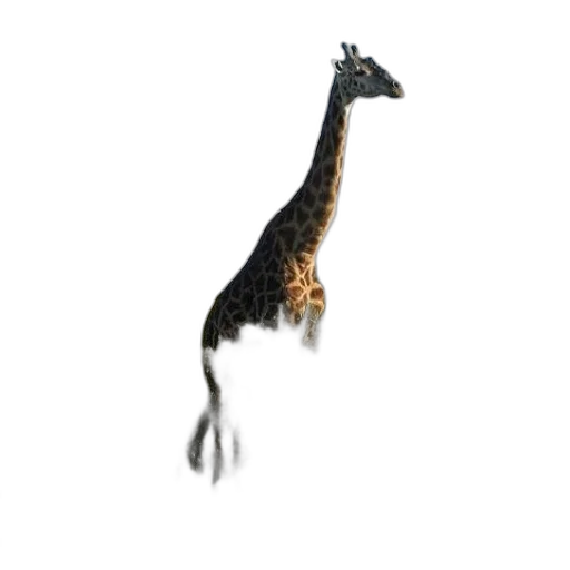 animal, creature, dragon, staff transparent PNG cut-out