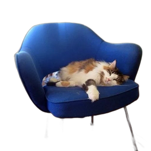 furniture, staff, animal, creature transparent PNG cut-out