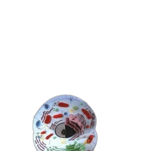 umbrella, hat, bottle, food transparent PNG cut-out