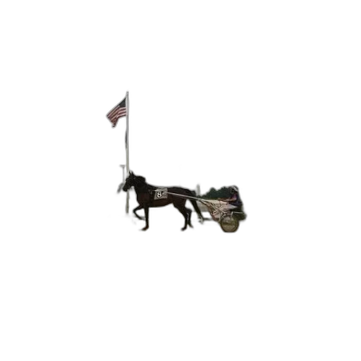 furniture, weapon, staff, animal transparent PNG cut-out