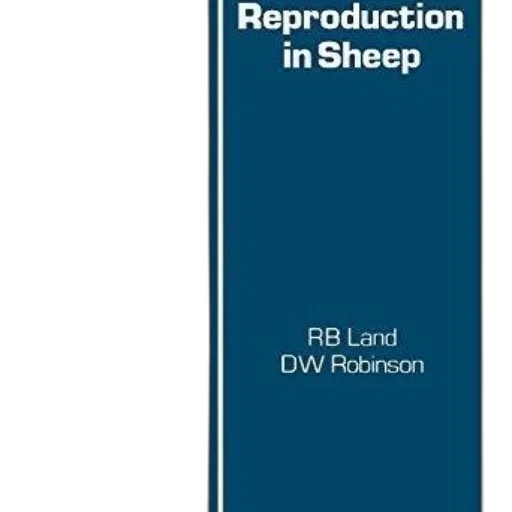 cover, reproduction, sheep, land transparent PNG cut-out