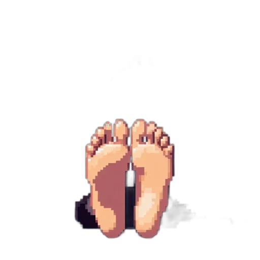 shoes, creature, animal, hair transparent PNG cut-out
