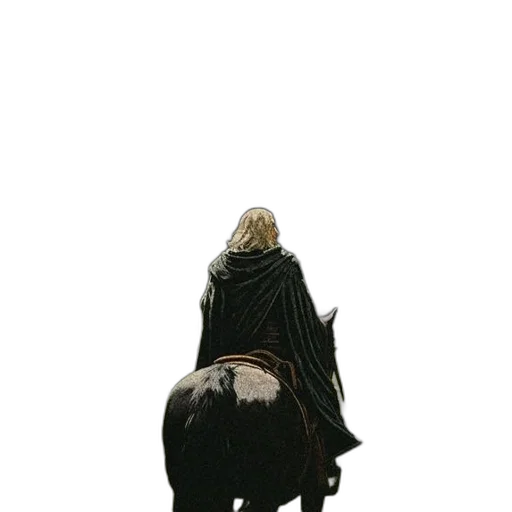 dragon, animal, jacket, dress transparent PNG cut-out