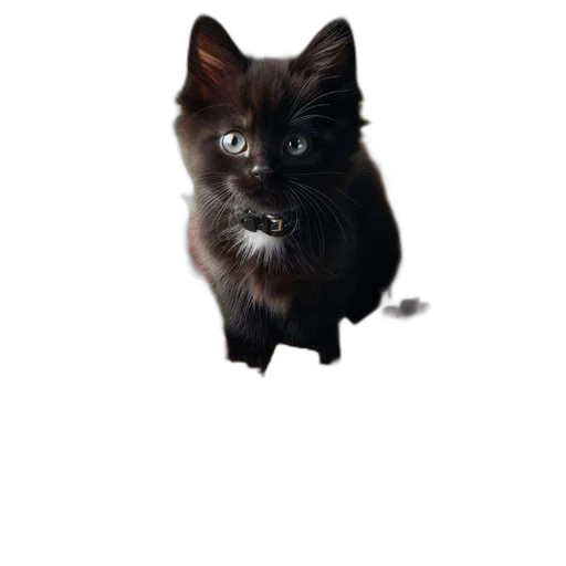 animal, creature, staff, face transparent PNG cut-out