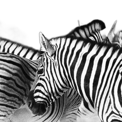 animal, photorealistic, pencil sketch, concept art transparent PNG cut-out