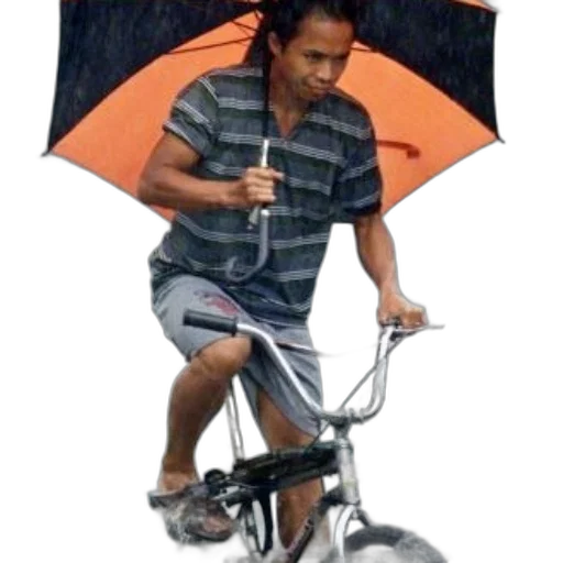 umbrella, staff, jacket, animal transparent PNG cut-out