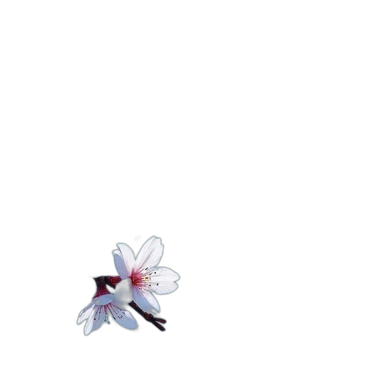 flower, staff, weapon, creature transparent PNG cut-out