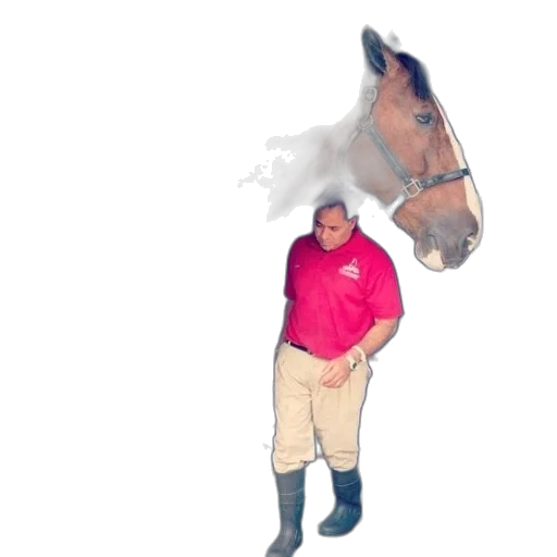 animal, creature, staff, jacket transparent PNG cut-out