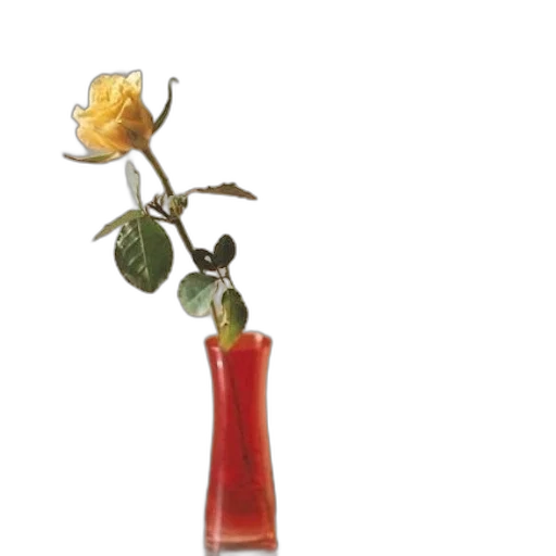 flower, bottle, staff, food transparent PNG cut-out