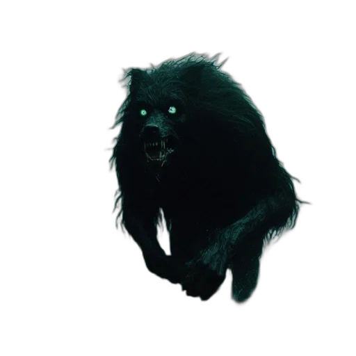 animal, creature, hair, staff transparent PNG cut-out