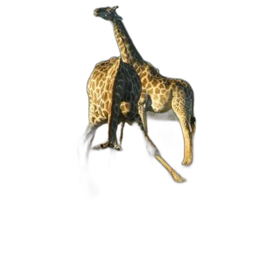 animal, jewelry, staff, dragon transparent PNG cut-out