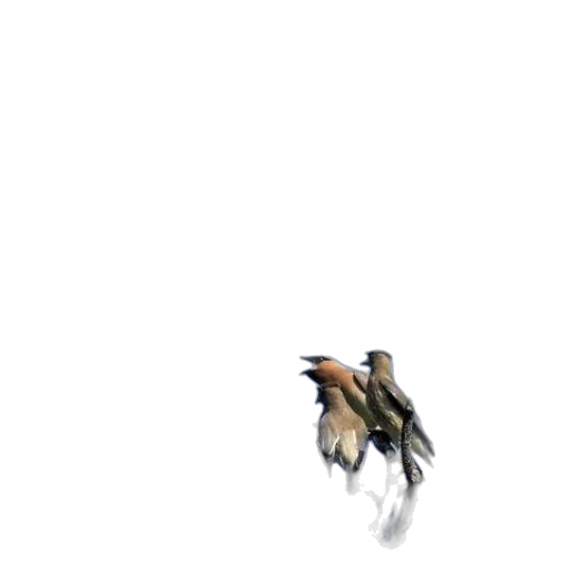 animal, dragon, creature, weapon transparent PNG cut-out