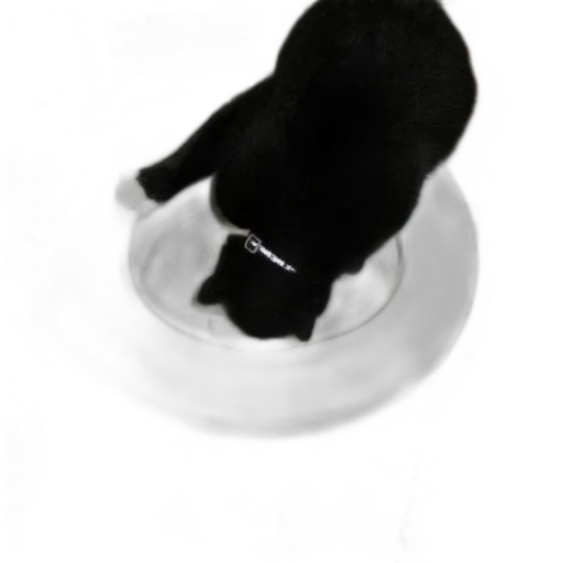 hat, jewelry, staff, animal transparent PNG cut-out