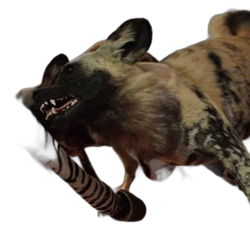animal, creature, staff, weapon transparent PNG cut-out