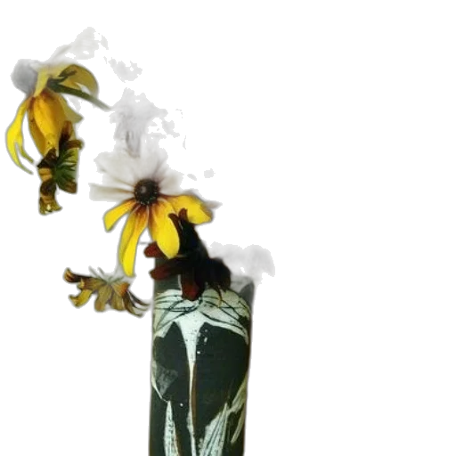 flower, crown, bottle, staff transparent PNG cut-out