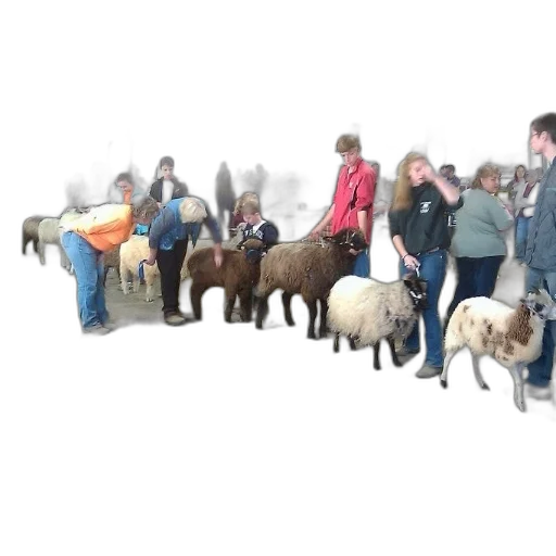 3d render, group, people, stand transparent PNG cut-out