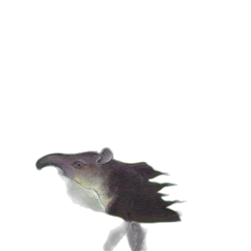 dragon, creature, animal, staff transparent PNG cut-out