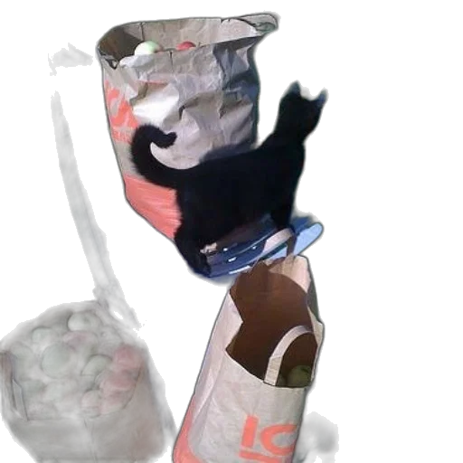 bottle, umbrella, food, weapon transparent PNG cut-out