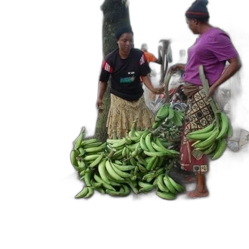 food, two, women, stand transparent PNG cut-out