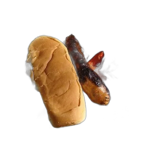 food, animal, creature, weapon transparent PNG cut-out