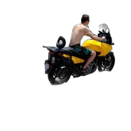 car, animal, 3d render, photorealistic transparent PNG cut-out