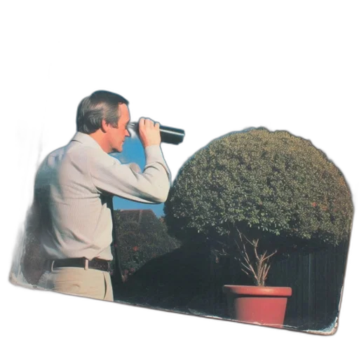 umbrella, staff, furniture, tree transparent PNG cut-out