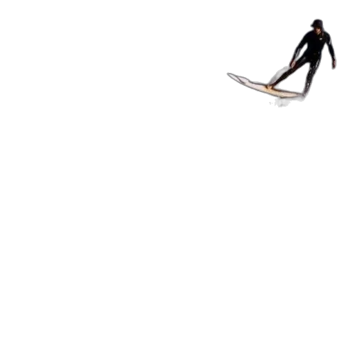 staff, weapon, sword, animal transparent PNG cut-out