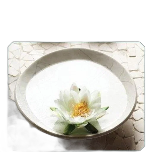 flower, jewelry, food, crown transparent PNG cut-out