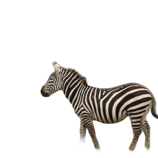 animal, creature, furniture, jewelry transparent PNG cut-out