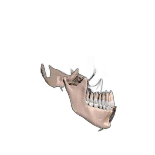 shoes, crown, mask, jewelry transparent PNG cut-out