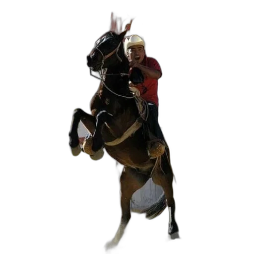 staff, animal, hat, concept art transparent PNG cut-out