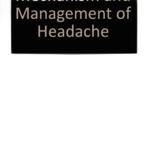hat, staff, cover, book transparent PNG cut-out