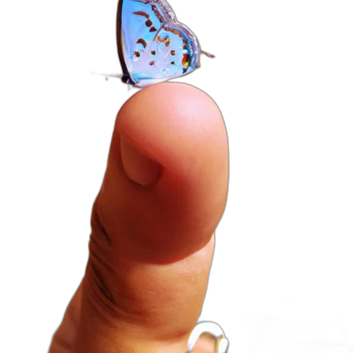jewelry, staff, umbrella, weapon transparent PNG cut-out