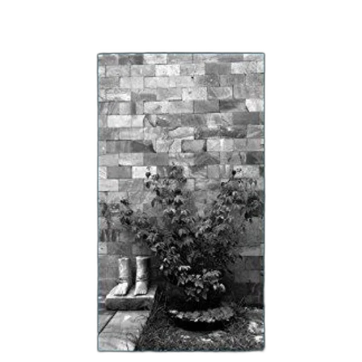 shoes, tree, bottle, flower transparent PNG cut-out