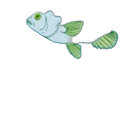 animal, staff, creature, face transparent PNG cut-out