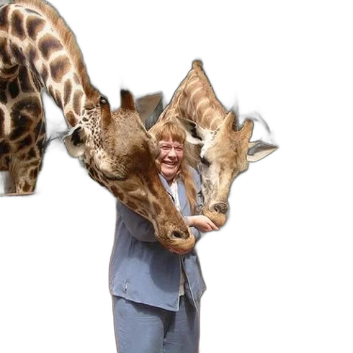 animal, staff, creature, woman transparent PNG cut-out