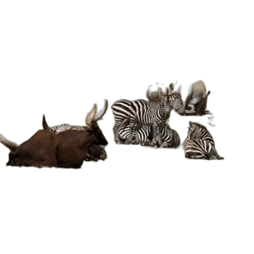 animal, furniture, creature, jewelry transparent PNG cut-out