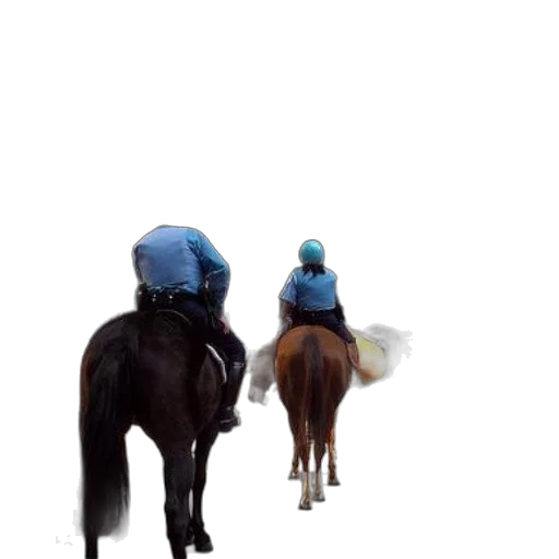 hat, animal, crown, creature transparent PNG cut-out