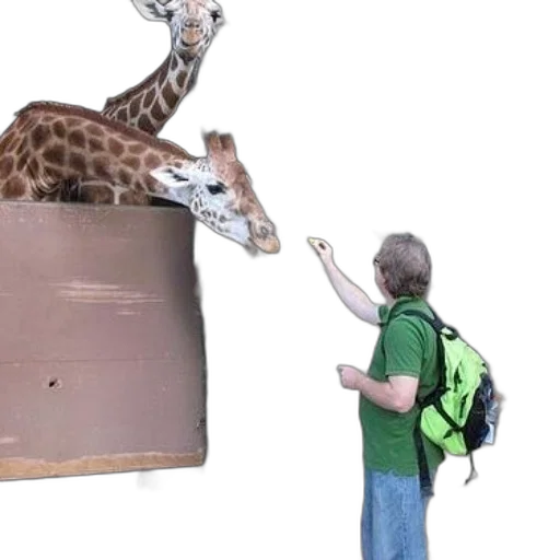 animal, creature, umbrella, staff transparent PNG cut-out
