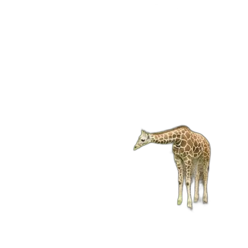animal, creature, furniture, jewelry transparent PNG cut-out