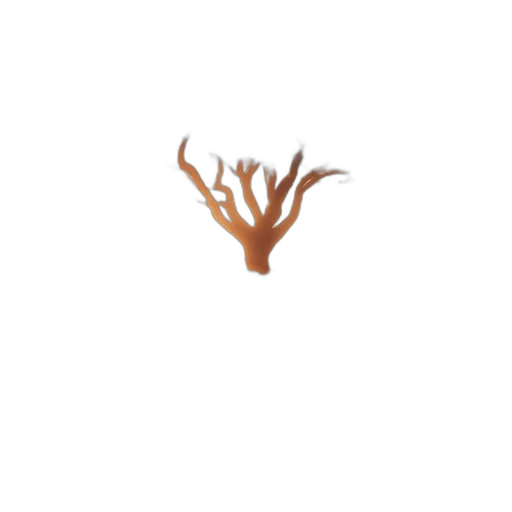 tree, crown, hair, creature transparent PNG cut-out