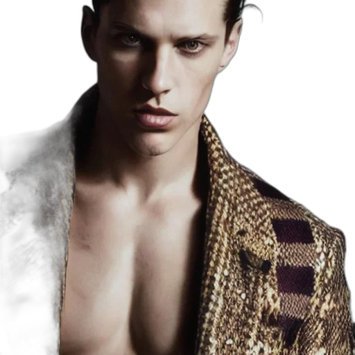 jacket, hair, photorealistic, golden transparent PNG cut-out