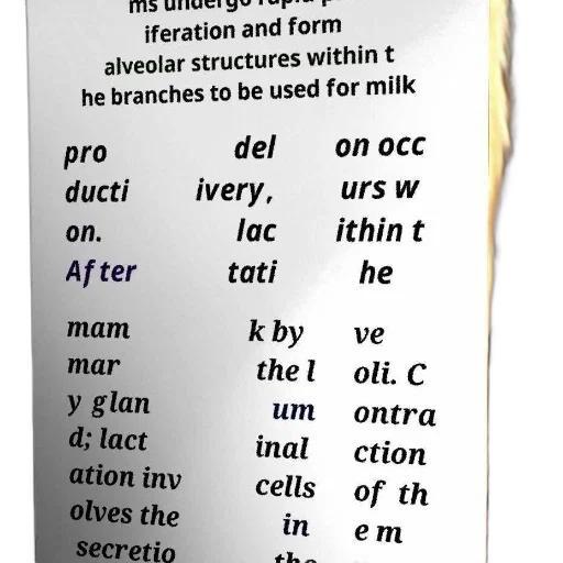 page, book, discussing, process transparent PNG cut-out