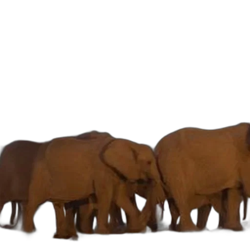 animal, 3d render, concept art, elephants transparent PNG cut-out