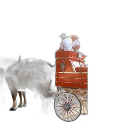 animal, car, furniture, robot transparent PNG cut-out