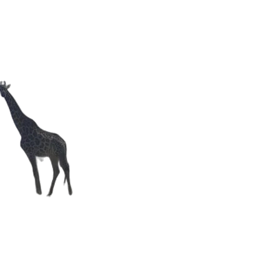 animal, creature, dragon, umbrella transparent PNG cut-out